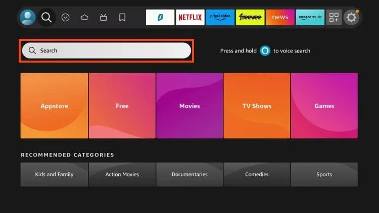 fire stick search